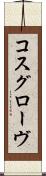コスグローヴ Scroll
