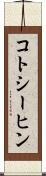 コトシーヒン Scroll