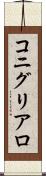コニグリアロ Scroll