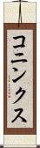 コニンクス Scroll