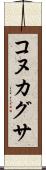 コヌカグサ Scroll