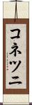コネツニ Scroll