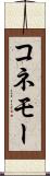 コネモー Scroll
