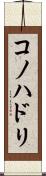 コノハドリ Scroll