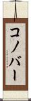 コノバー Scroll