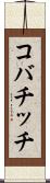 コバチッチ Scroll