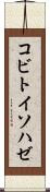 コビトイソハゼ Scroll
