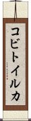 コビトイルカ Scroll