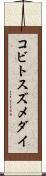 コビトスズメダイ Scroll