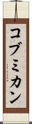コブミカン Scroll