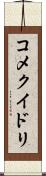 コメクイドリ Scroll