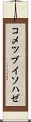 コメツブイソハゼ Scroll