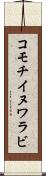 コモチイヌワラビ Scroll