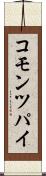 コモン・ツパイ Scroll