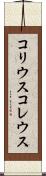 コリウス Scroll