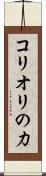 コリオリの力 Scroll