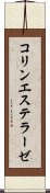 コリンエステラーゼ Scroll