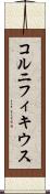 コルニフィキウス Scroll