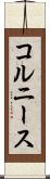 コルニース Scroll