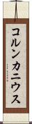 コルンカニウス Scroll