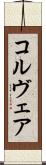 コルヴェア Scroll