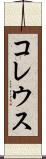 コレウス Scroll