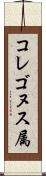 コレゴヌス属 Scroll