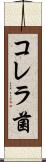 コレラ菌 Scroll