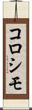 コロシモ Scroll