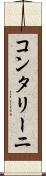 コンタリーニ Scroll