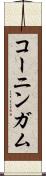 コーニンガム Scroll