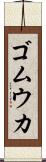ゴムウカ Scroll