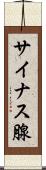 サイナス腺 Scroll