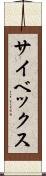 サイベックス Scroll