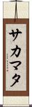 サカマタ Scroll