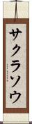 サクラソウ Scroll