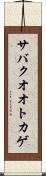 サバクオオトカゲ Scroll