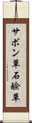 サボン草 Scroll