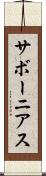 サボーニアス Scroll