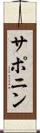 サポニン Scroll