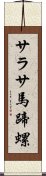 サラサ馬蹄螺 Scroll