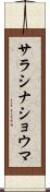 サラシナショウマ Scroll
