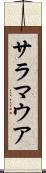 サラマウア Scroll