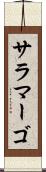 サラマーゴ Scroll