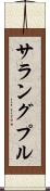 サラングプル Scroll