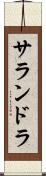 サランドラ Scroll