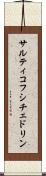 サルティコフ・シチェドリン Scroll