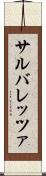 サルバレッツァ Scroll