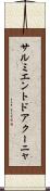サルミエントドアクーニャ Scroll