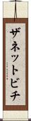 ザネットビチ Scroll